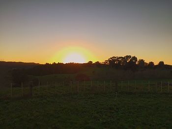 Scenic view of field against clear sky during sunset