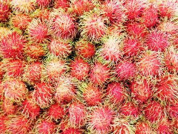 High angle view of strawberries for sale in market