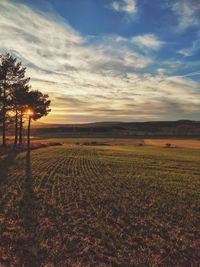 Scenic view of field against sky during sunset