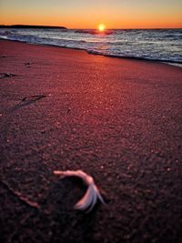 Scenic view of sea during sunset