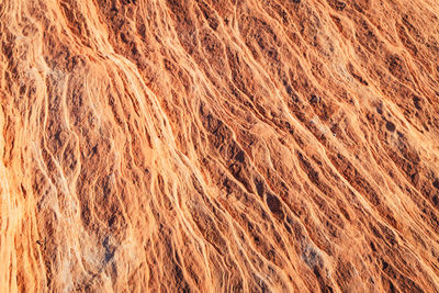 Rock formation line pattern in the desert