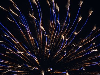 Low angle view of fireworks against sky at night