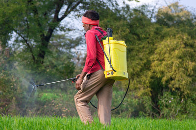 Indian farmer spraying fertilizer in his wheat field. agriculture worker.