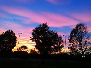 Silhouette trees against sky during sunset