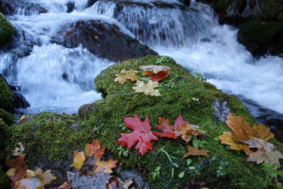 High angle view of stream amidst rocks