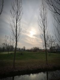 Bare trees on field against sky during sunset