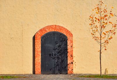 Brick wall with closed door