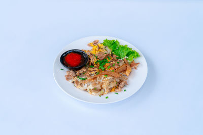 Directly above shot of food in plate on white background