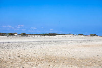 Sand dunes at south ocean beach on assateague island national seashore on delmarva peninsula in md