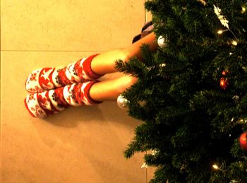 Woman holding christmas tree