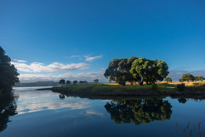 Reflection of trees in lake against blue sky