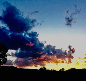 Low angle view of silhouette trees against sky during sunset