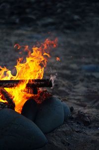Beach campfire 