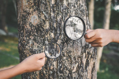 Cropped hands of people holding magnifying glass over tree in forest