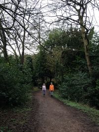 Rear view of people walking in forest