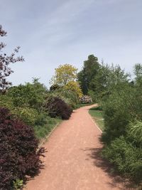 Footpath amidst plants against sky