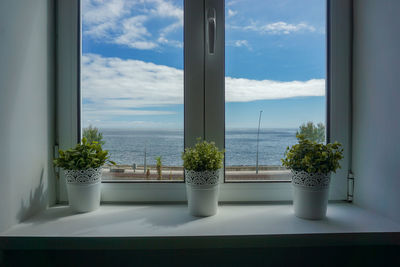 Potted plants on window sill against sky