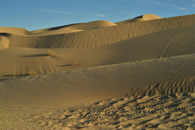 Sand dunes natural wind-blown and off road vehicle tire track  imperial sand dunes california