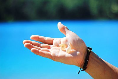 Close-up of hand against blue sky