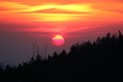 Silhouette trees against sky during sunset