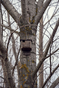 Close-up of birdhouse on tree trunk in winter
