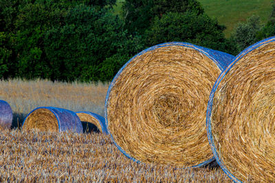 Close-up of hay bales on field