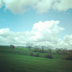 Scenic view of grassy field against cloudy sky