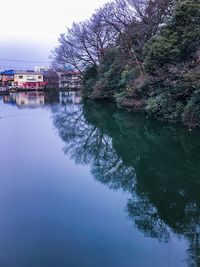 Reflection of trees in water against sky