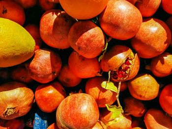 Full frame shot of pears