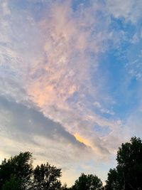 Low angle view of trees against sky