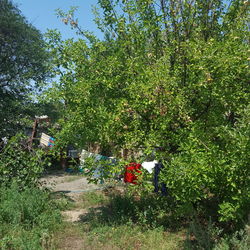 High angle view of people relaxing on field