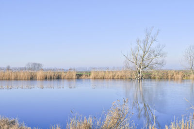 Scenic view of lake against clear blue sky