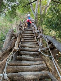 Staircase amidst trees in forest