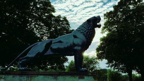 Low angle view of horse on tree against sky