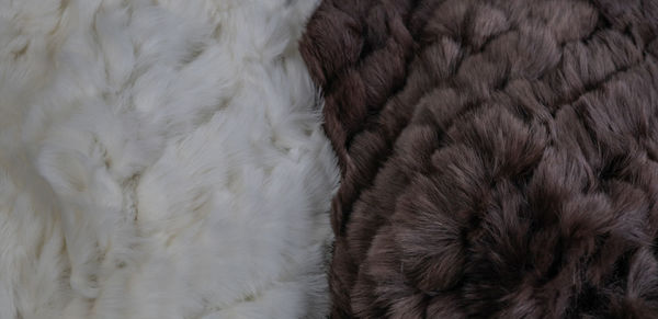 fur