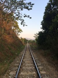 Railroad tracks amidst trees against sky 
