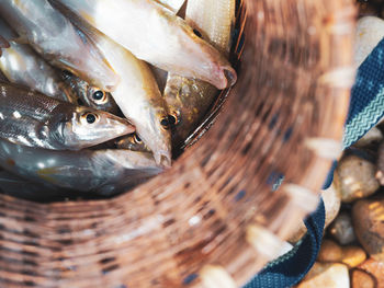 High angle view of fish for sale in basket