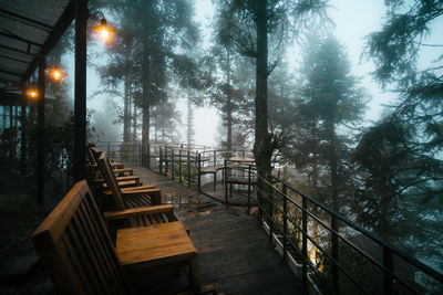 Empty bench by railing against trees