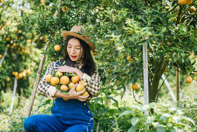 Young woman picking oranges in orchard