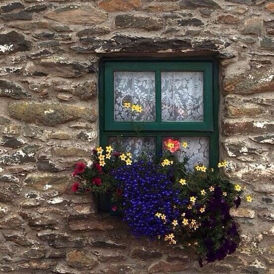 flower, plant, freshness, fragility, growth, window, potted plant, built structure, architecture, house, building exterior, petal, beauty in nature, flower pot, wall - building feature, nature, blooming, stone wall, brick wall, day