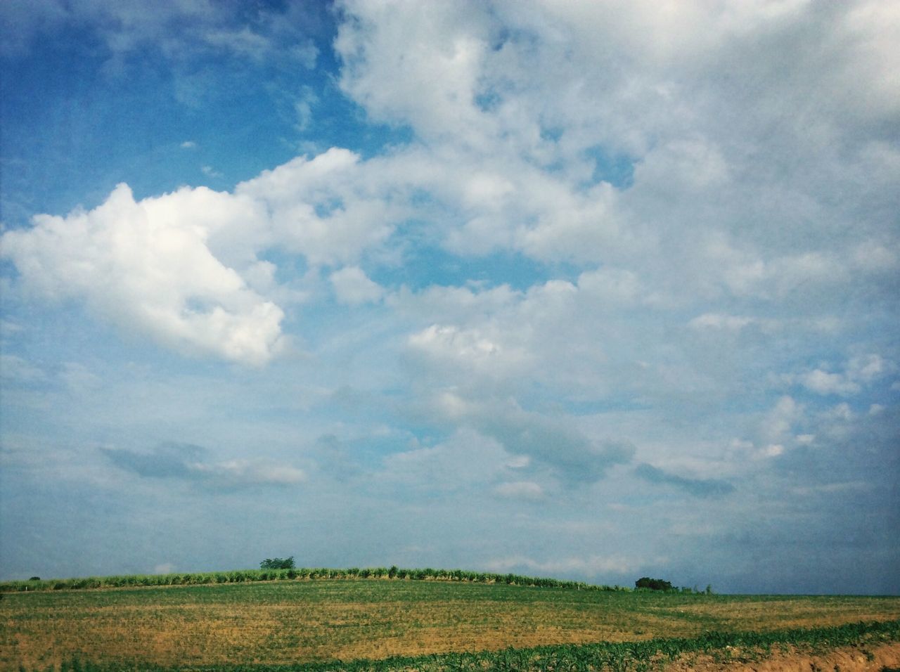 sky, tranquil scene, tranquility, scenics, landscape, cloud - sky, beauty in nature, nature, cloud, field, cloudy, rural scene, idyllic, horizon over land, tree, blue, non-urban scene, growth, day, outdoors