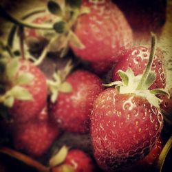 Close-up of strawberries
