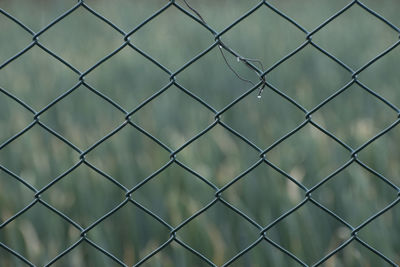 Full frame shot of chainlink fence against wall