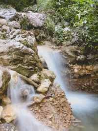 Scenic view of waterfall in forest