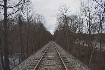 Railroad tracks amidst trees against sky