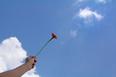 Low angle view of person hand against sky