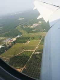 Cropped image of airplane flying over field