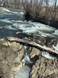 Scenic view of river flowing in forest