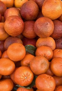 Full frame shot of oranges and mandarins 