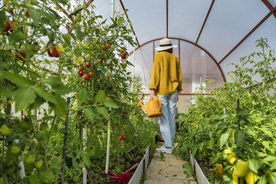 Rear view of man standing by plants